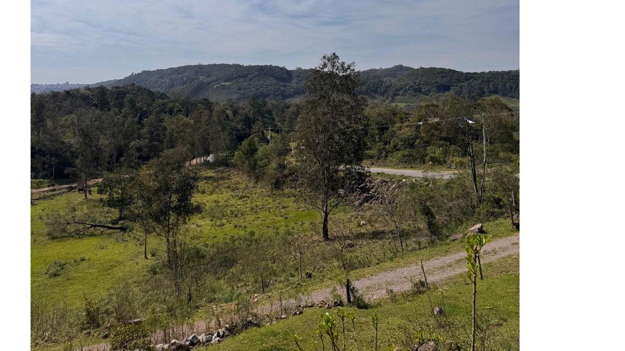 Terreno Estr. Mun. Da Uva - Caxias