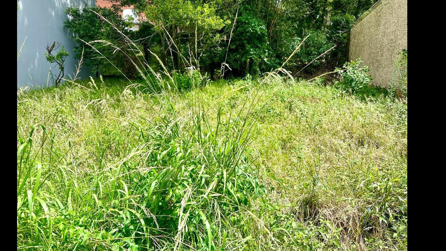 Terreno próximo a UCS
