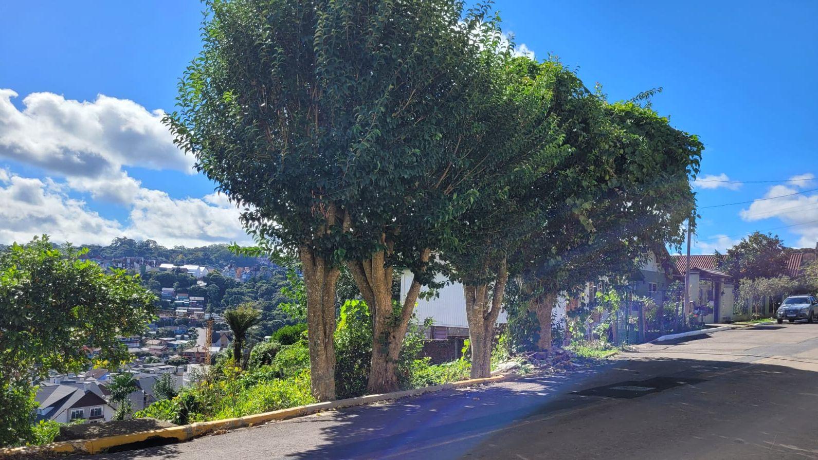 Terreno - Bairro Piratini