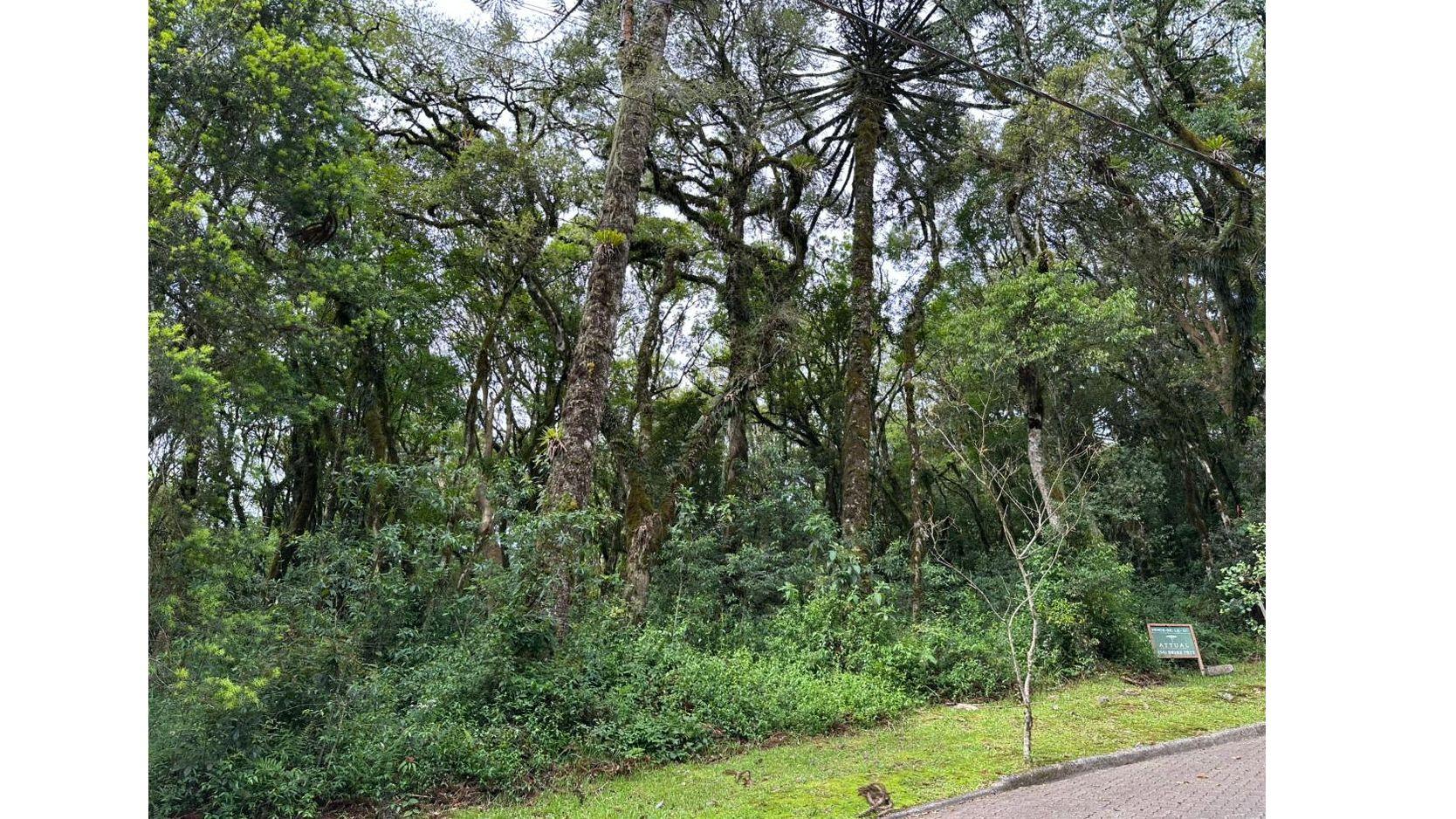 Condomínio Pinheiro Grosso