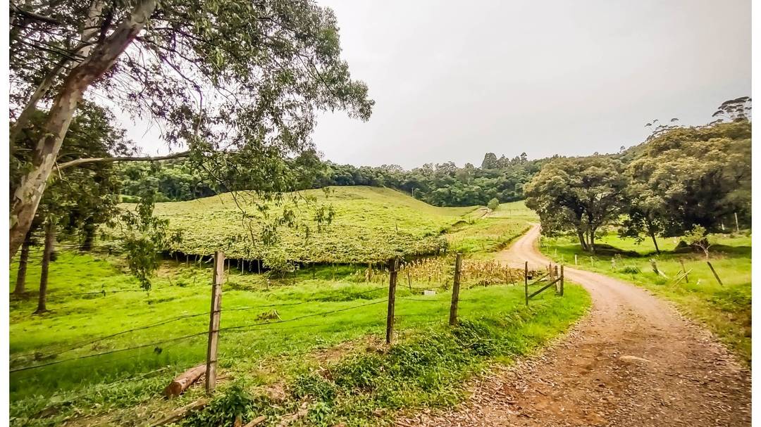 Área De Terras